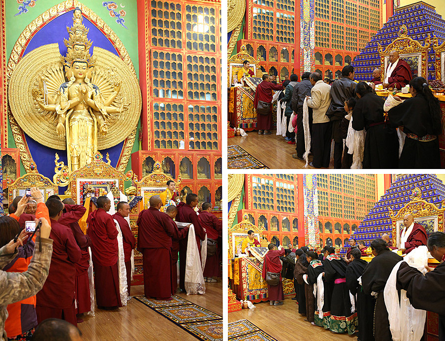 Osiyo Kareya jinsiy aloqa